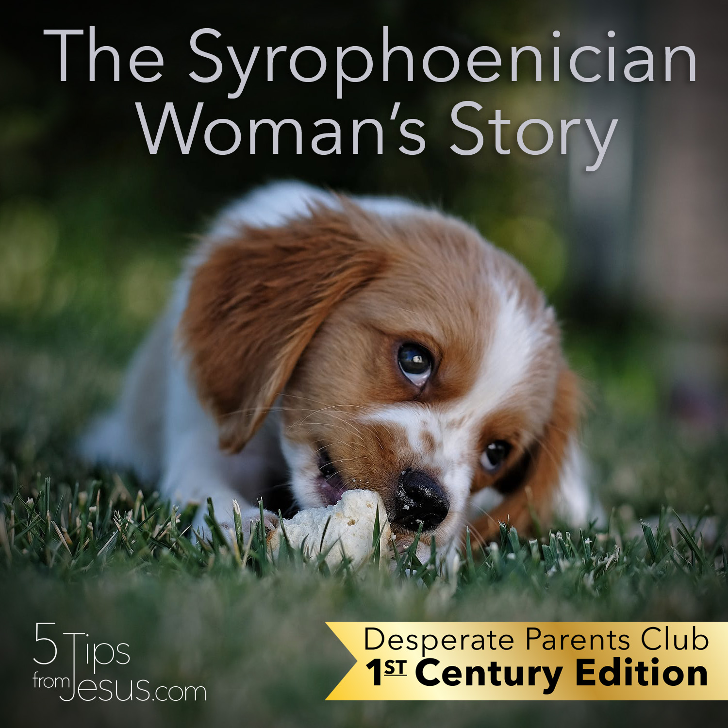 Desperate Parents Stories